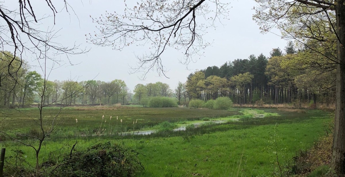 Lentehuisje (1) / Casa di primavera&nbsp;(1)
