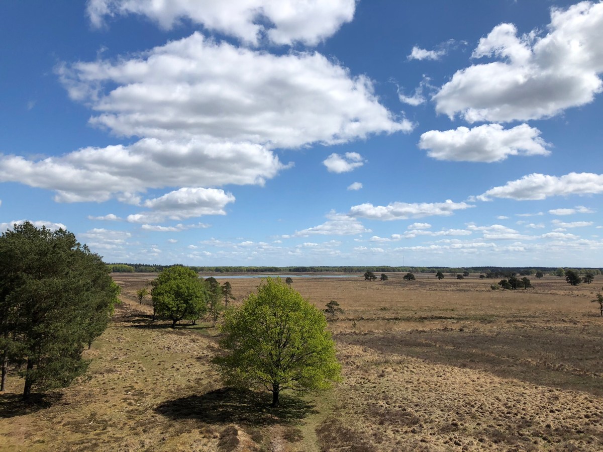 Lentehuisje (2) / Casa di primavera&nbsp;(2)
